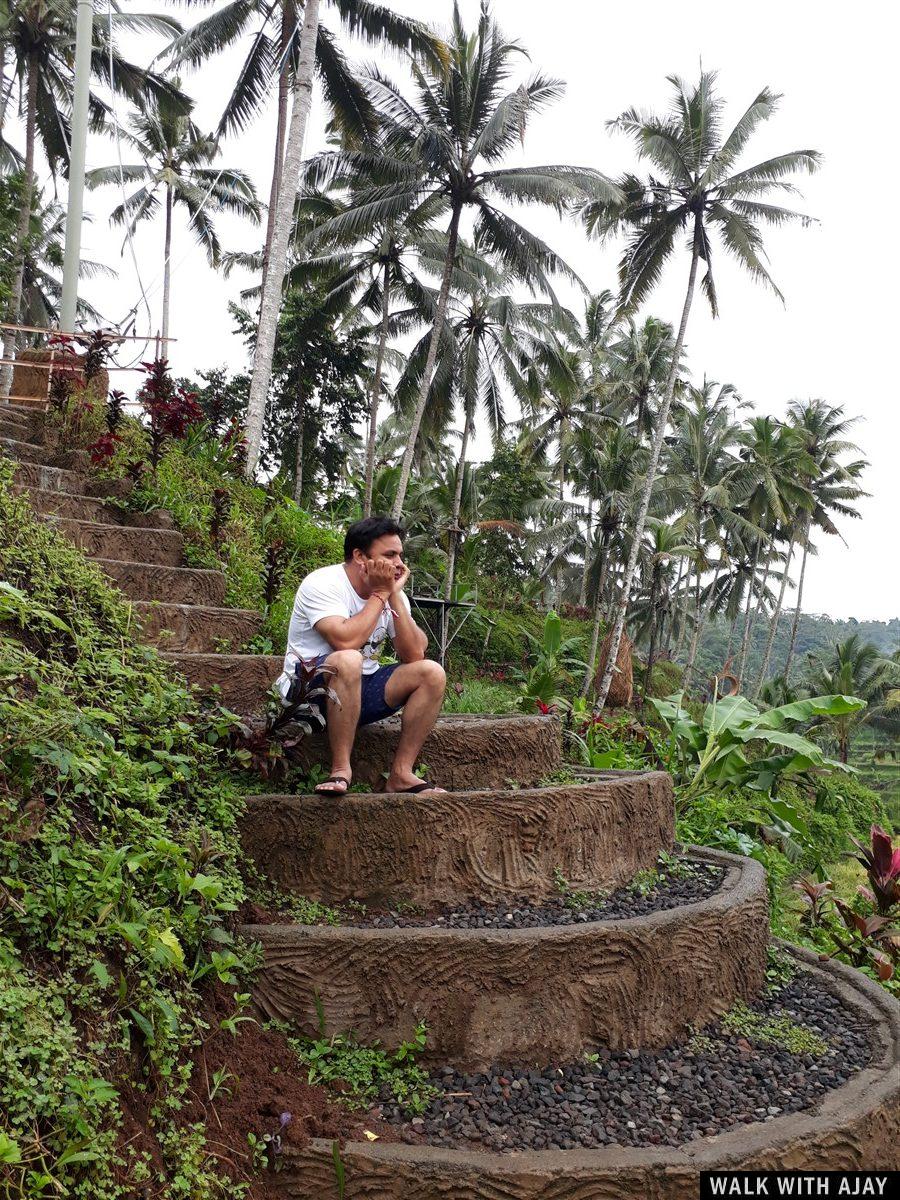Day 3 - Early Morning Visit to Tegallalang Rice Terrace : Bali, Indonesia (Jan'19) 4