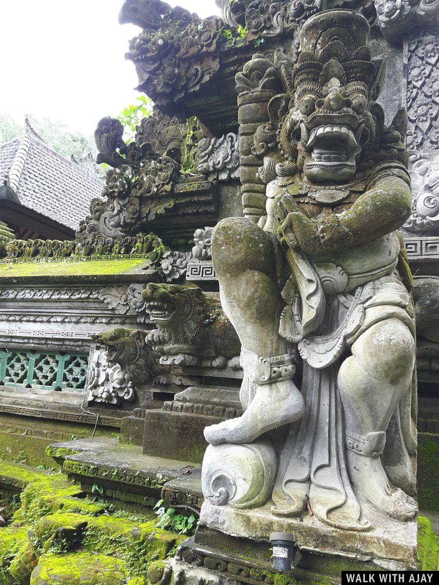 Exploring Tegallalang Rice Terrace & Ubud : Bali, Indonesia (Jan'19) - Day 3 25