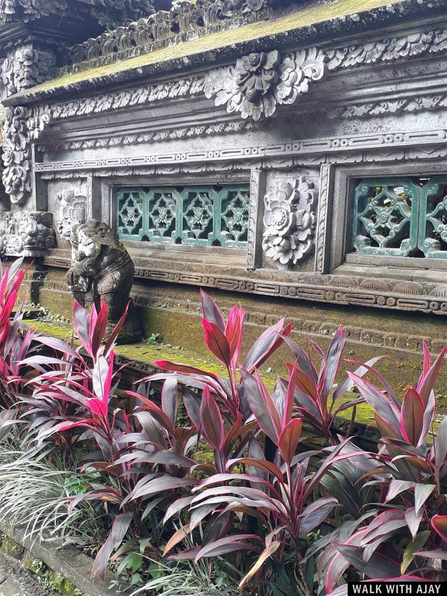 Day 3 - Early Morning Visit to Tegallalang Rice Terrace : Bali, Indonesia (Jan'19) 27