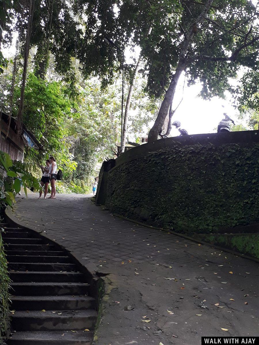 Day 3 - Early Morning Visit to Tegallalang Rice Terrace : Bali, Indonesia (Jan'19) 23