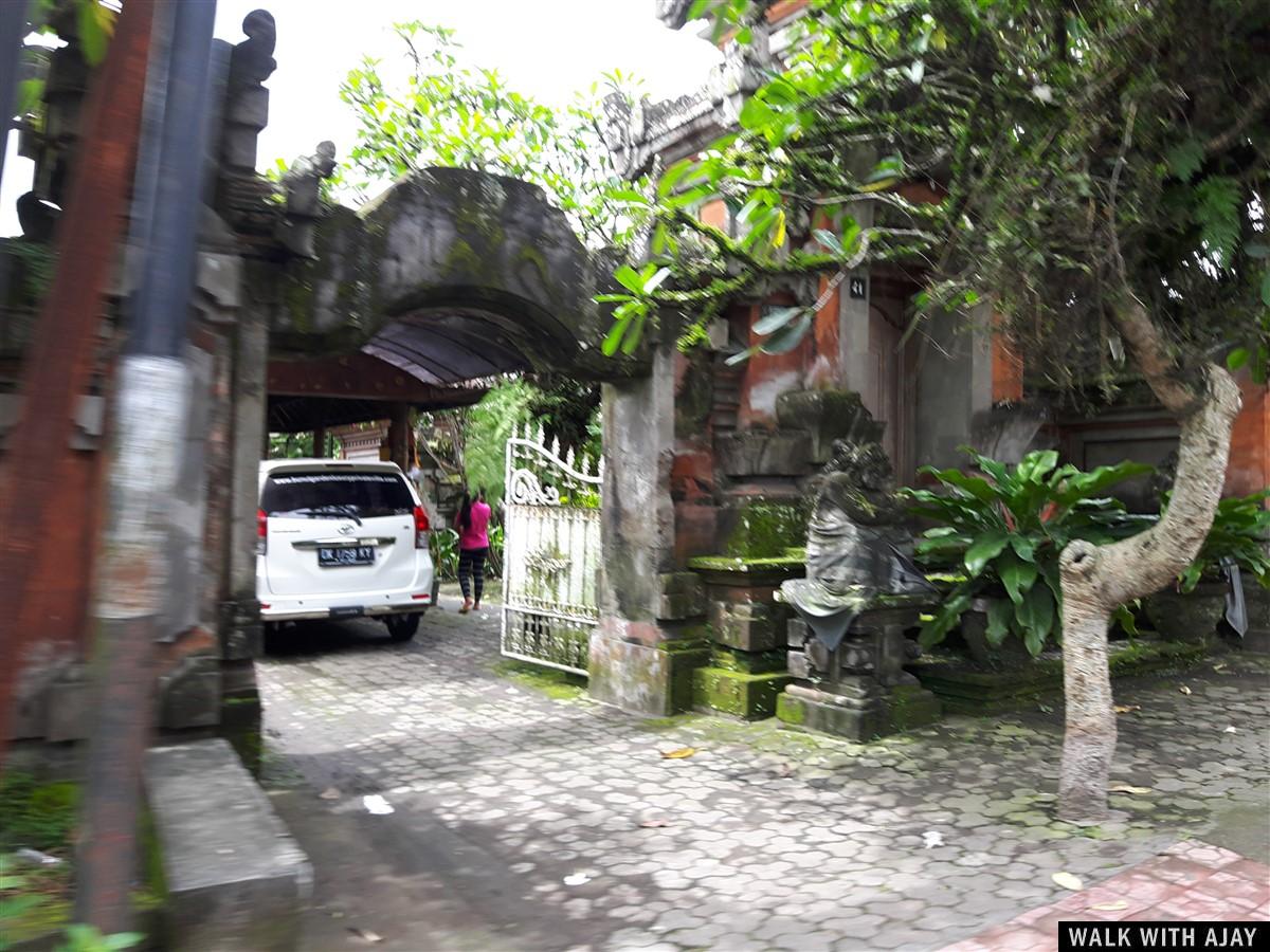 Day 3 - Early Morning Visit to Tegallalang Rice Terrace : Bali, Indonesia (Jan'19) 30
