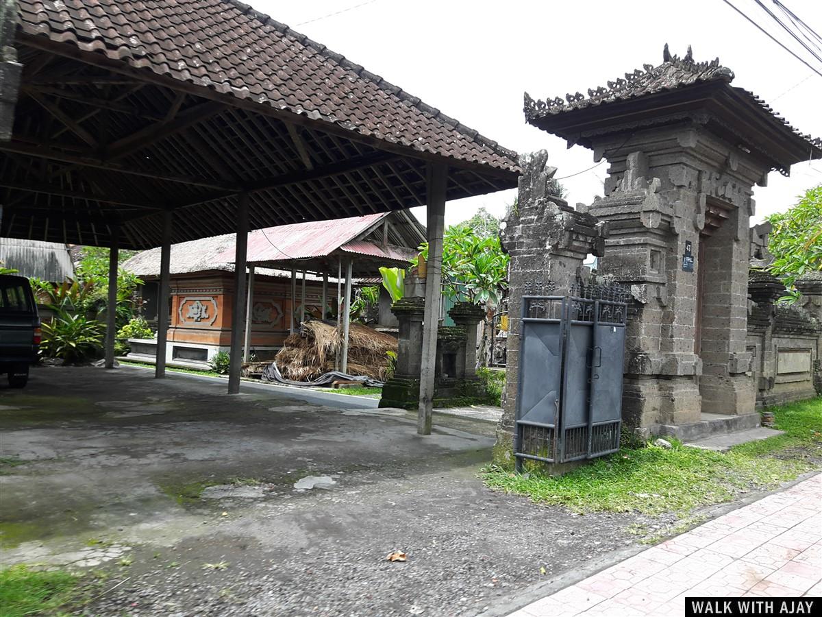 Exploring Tegallalang Rice Terrace & Ubud : Bali, Indonesia (Jan'19) - Day 3 30
