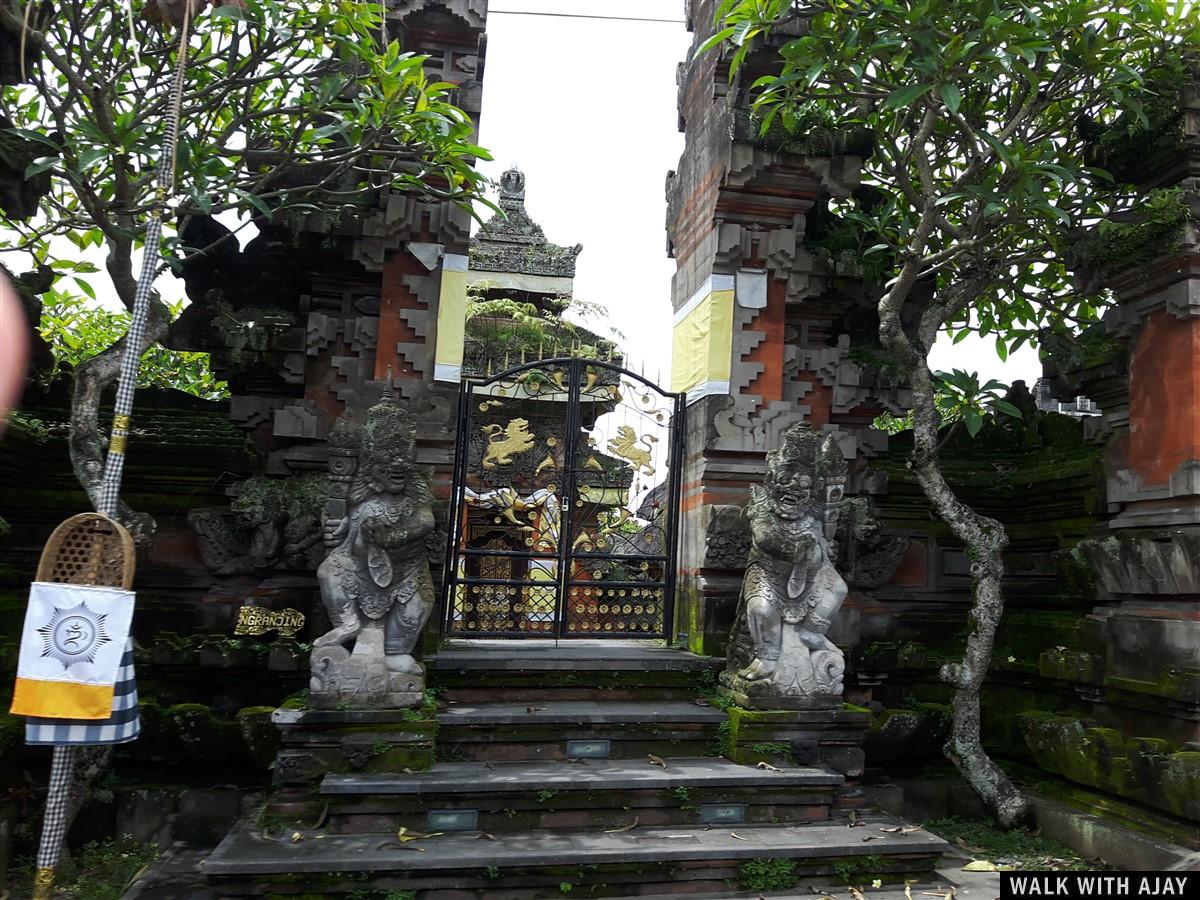 Day 3 - Early Morning Visit to Tegallalang Rice Terrace : Bali, Indonesia (Jan'19) 36