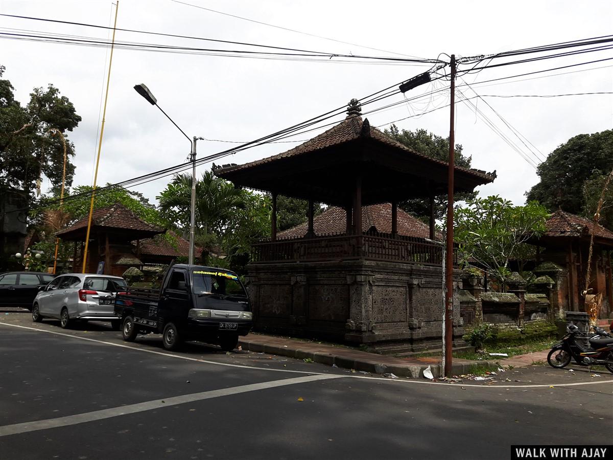 Exploring Tegallalang Rice Terrace & Ubud : Bali, Indonesia (Jan'19) - Day 3 34