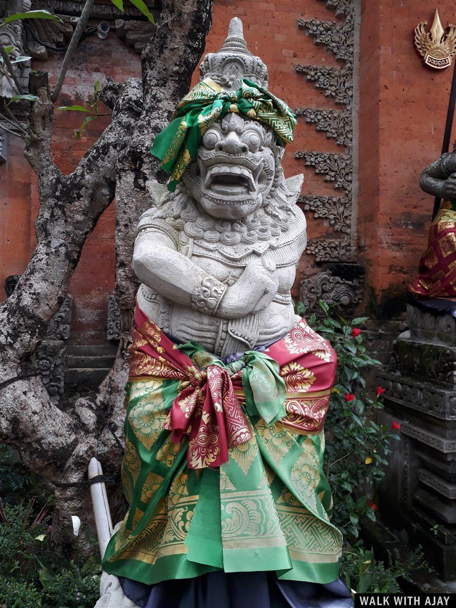 Day 3 - Early Morning Visit to Tegallalang Rice Terrace : Bali, Indonesia (Jan'19) 47