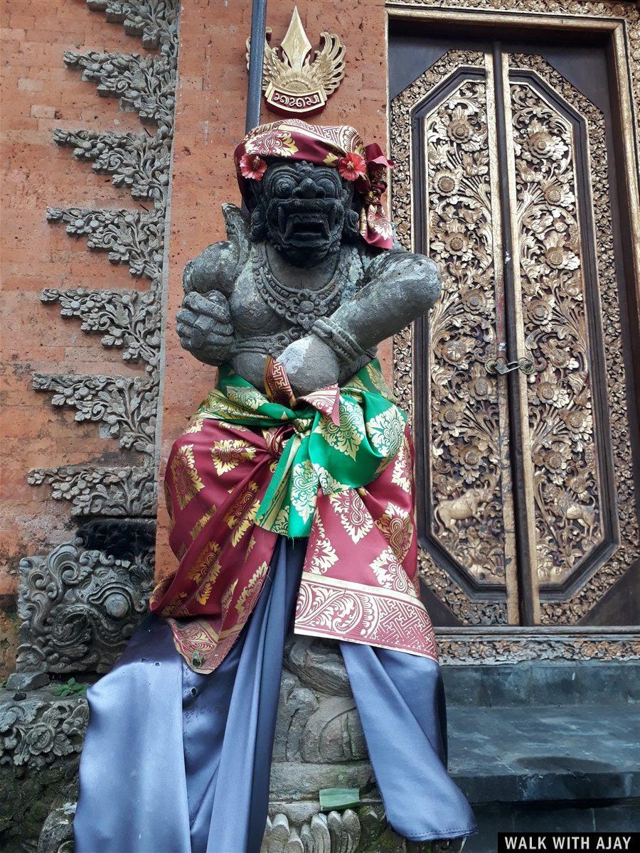Day 3 - Early Morning Visit to Tegallalang Rice Terrace : Bali, Indonesia (Jan'19) 46