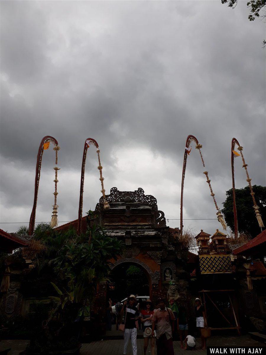 Day 3 - Early Morning Visit to Tegallalang Rice Terrace : Bali, Indonesia (Jan'19) 37