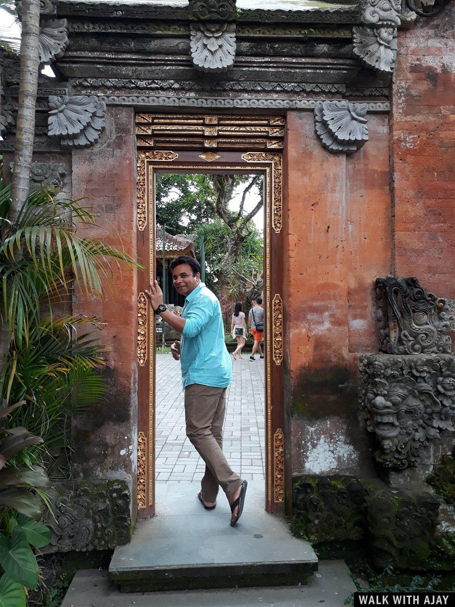 Exploring Tegallalang Rice Terrace & Ubud : Bali, Indonesia (Jan'19) - Day 3 56