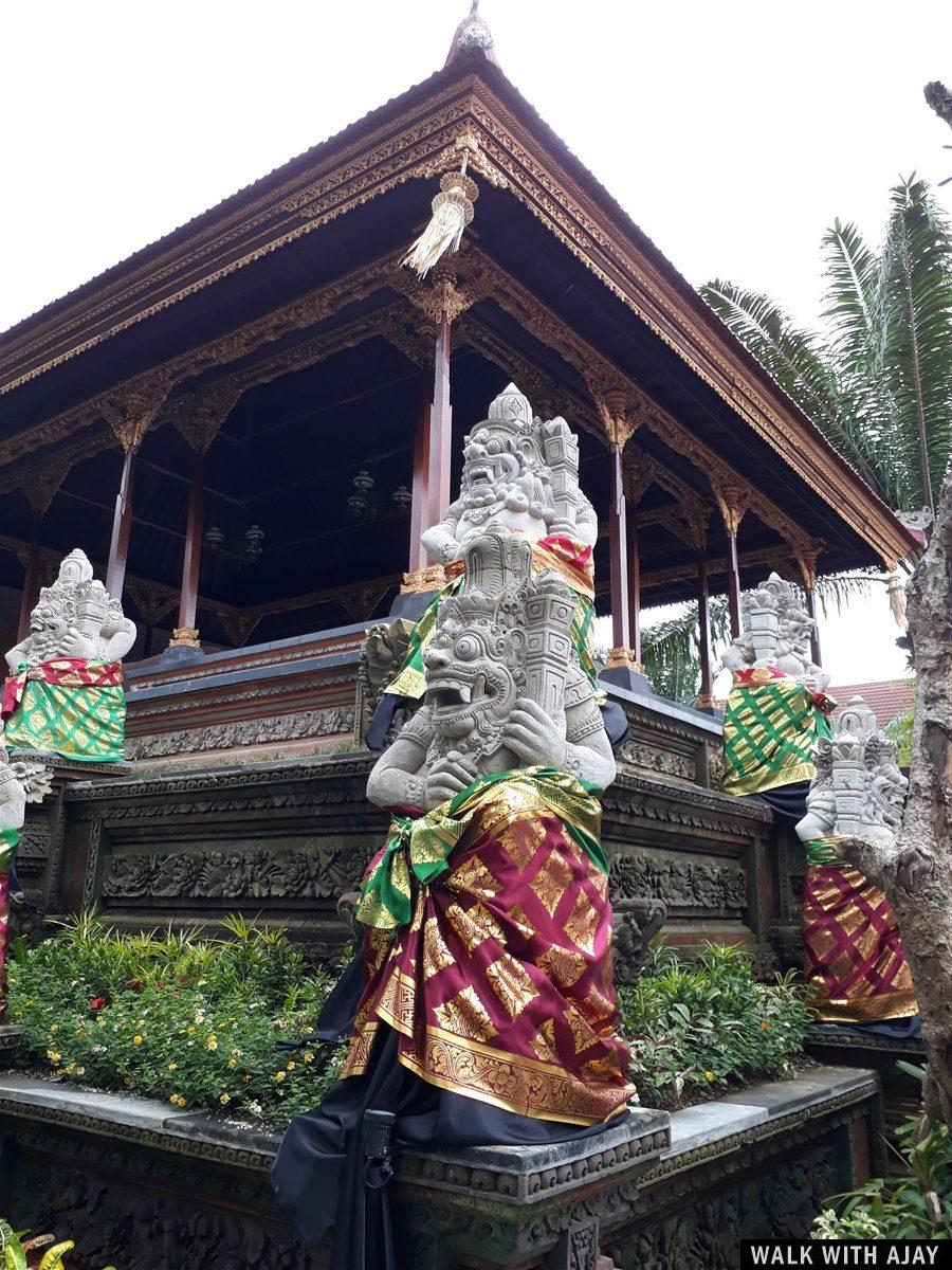 Day 3 - Early Morning Visit to Tegallalang Rice Terrace : Bali, Indonesia (Jan'19) 45