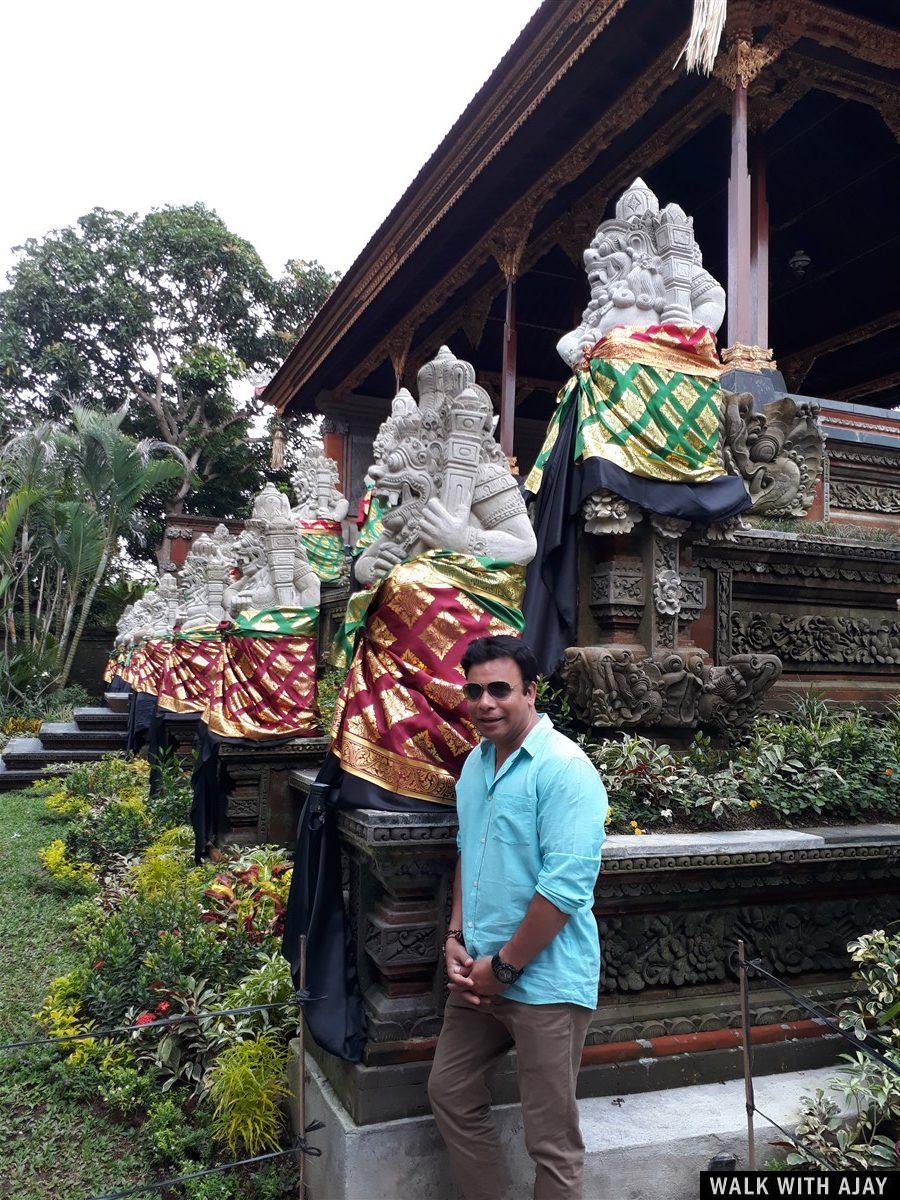 Day 3 - Early Morning Visit to Tegallalang Rice Terrace : Bali, Indonesia (Jan'19) 40