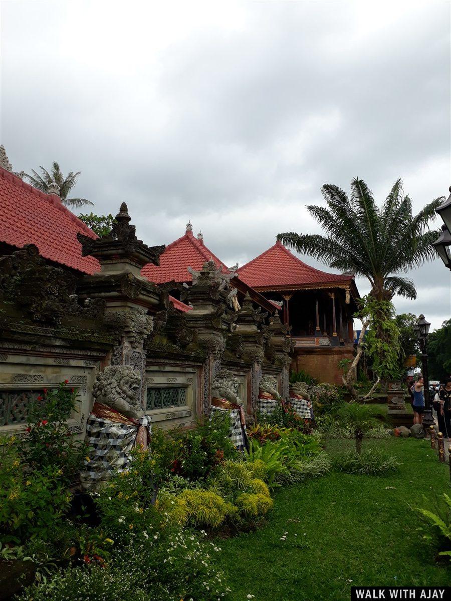 Day 3 - Early Morning Visit to Tegallalang Rice Terrace : Bali, Indonesia (Jan'19) 50