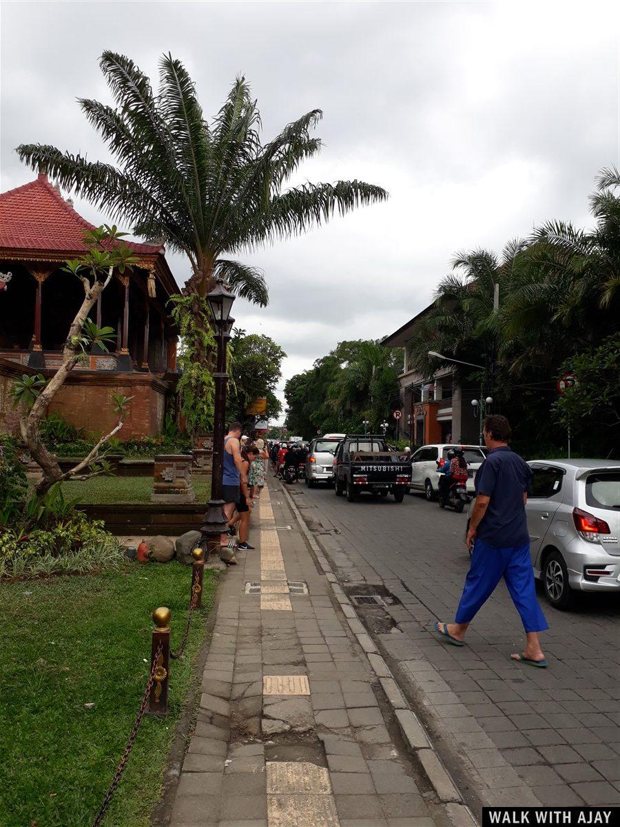 Day 3 - Early Morning Visit to Tegallalang Rice Terrace : Bali, Indonesia (Jan'19) 49