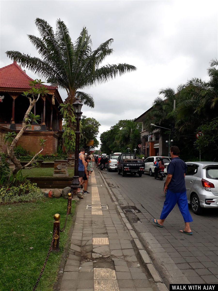 Exploring Tegallalang Rice Terrace & Ubud : Bali, Indonesia (Jan'19) - Day 3 48