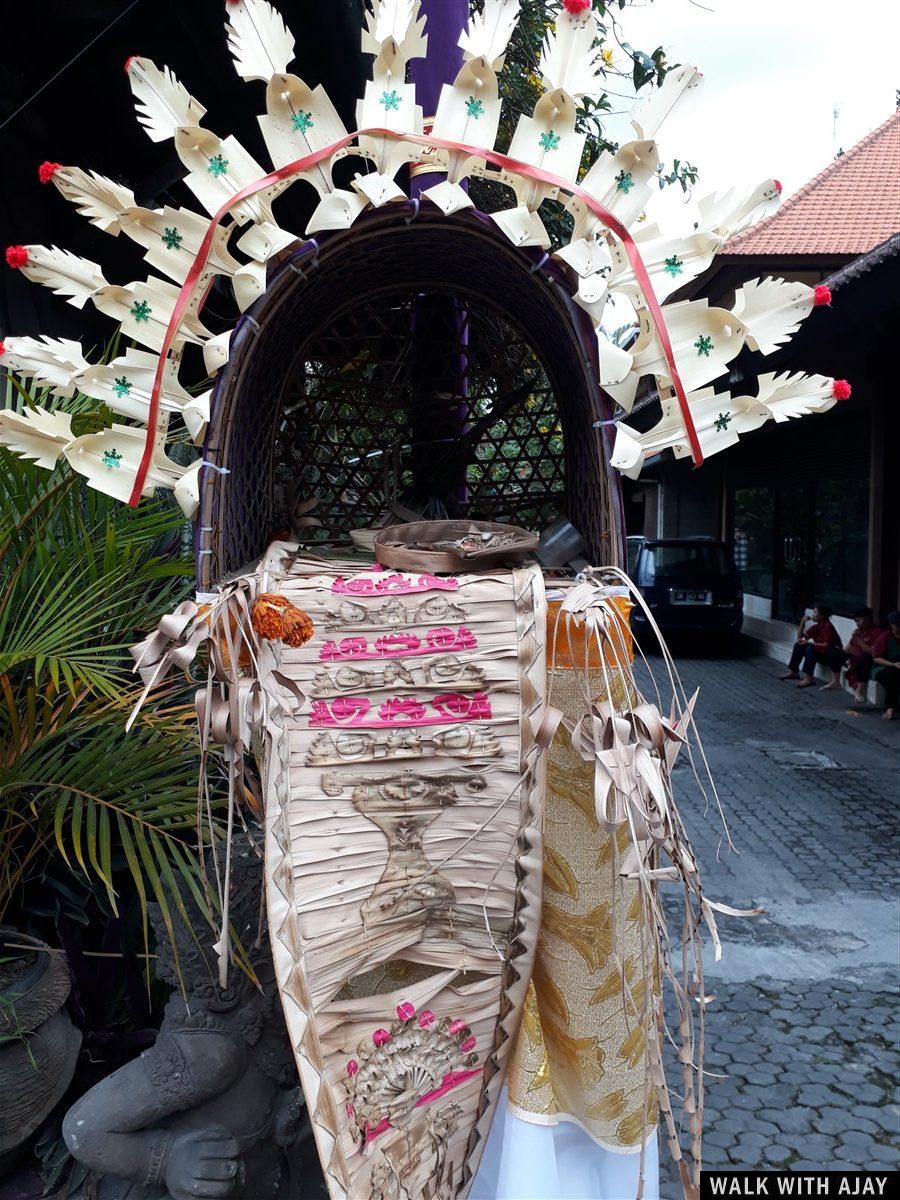 Day 3 - Early Morning Visit to Tegallalang Rice Terrace : Bali, Indonesia (Jan'19) 54