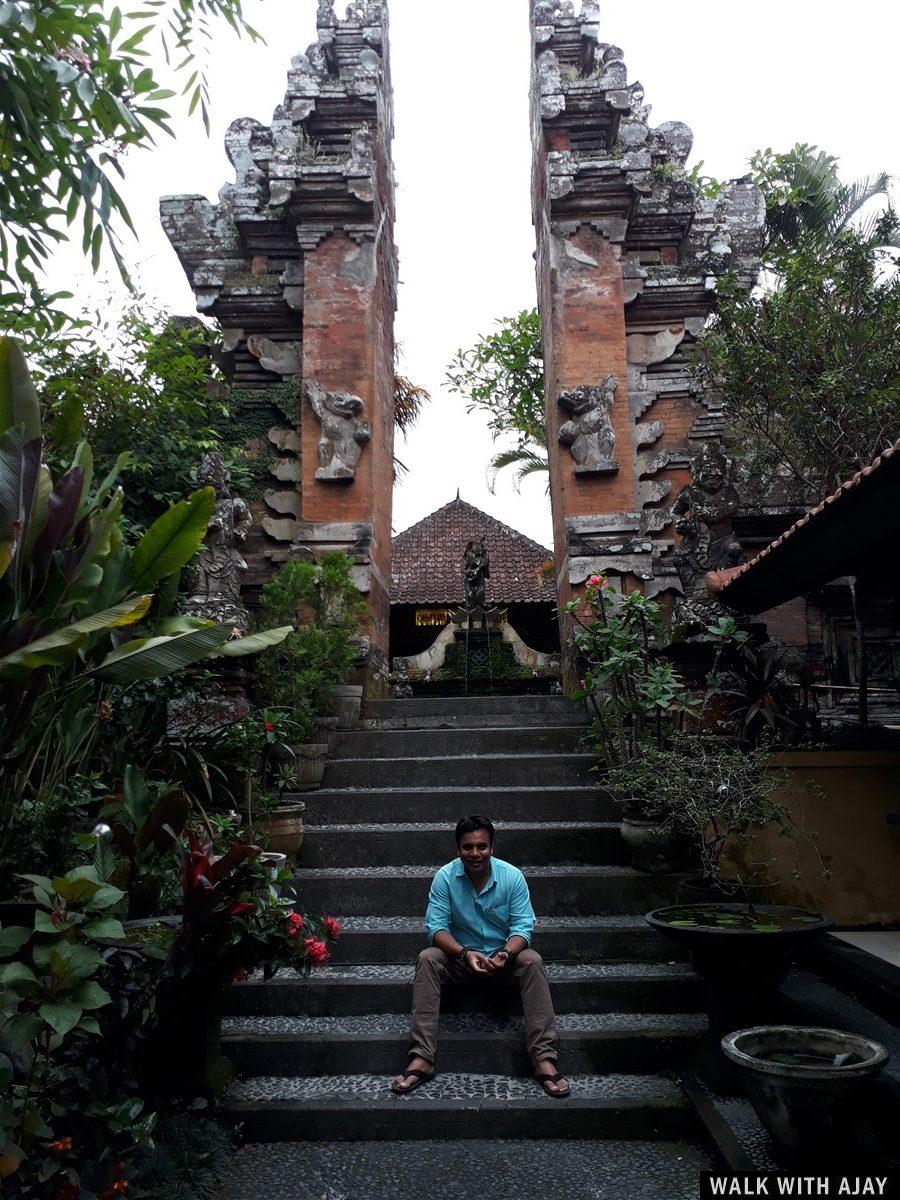 Day 3 - Early Morning Visit to Tegallalang Rice Terrace : Bali, Indonesia (Jan'19) 55