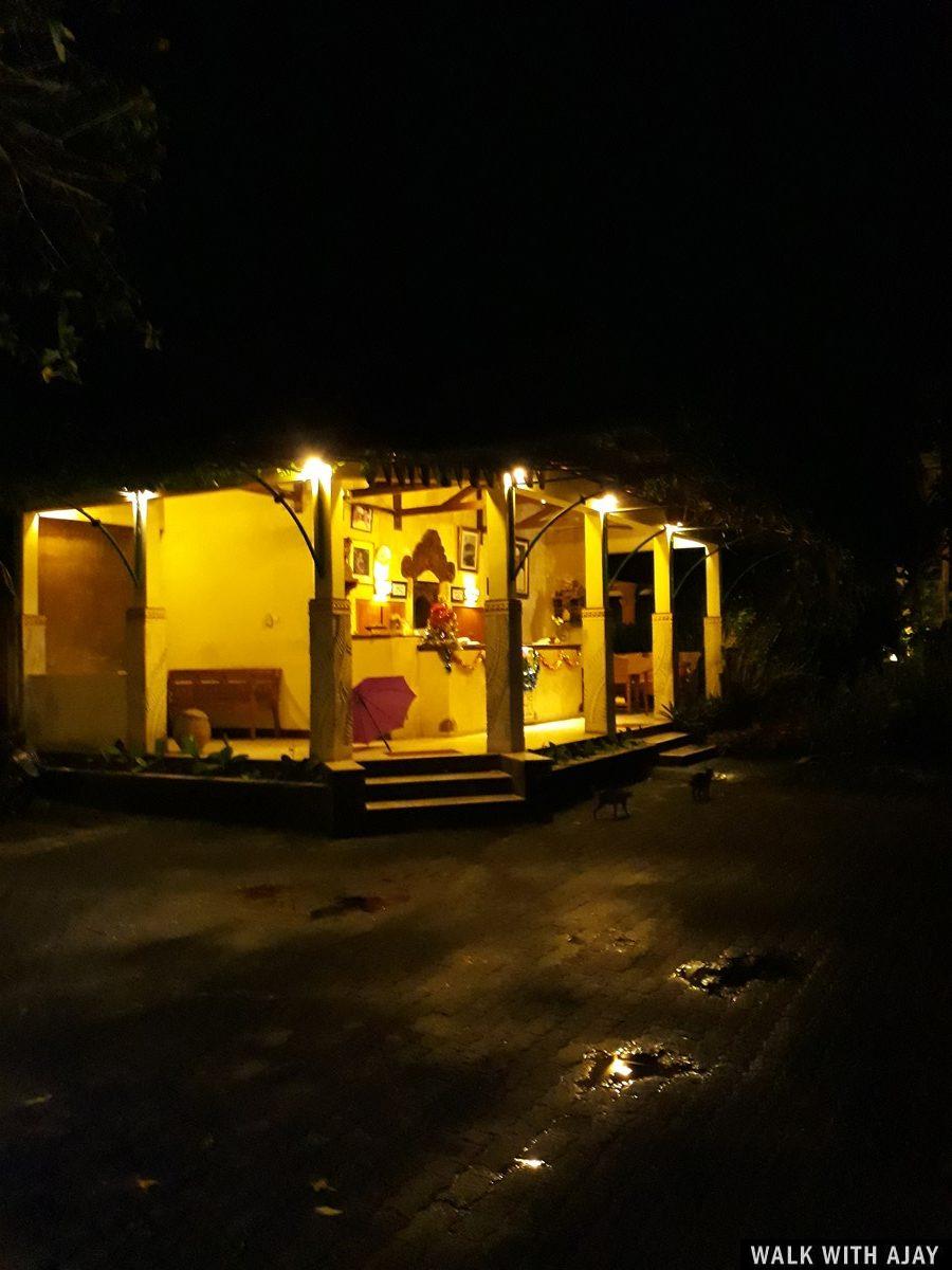 Day 3 - Early Morning Visit to Tegallalang Rice Terrace : Bali, Indonesia (Jan'19) 56