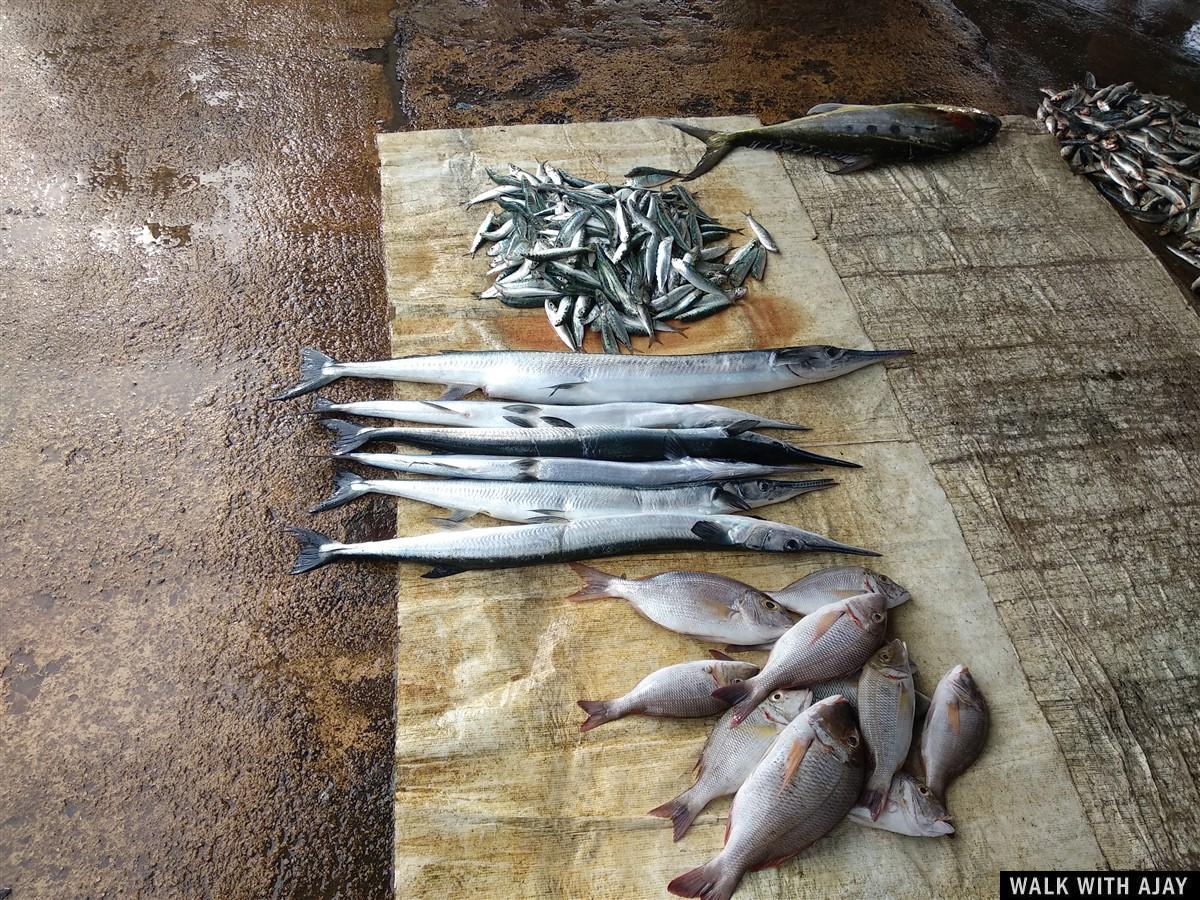 Day 3 - Visited Negombo Fish Market : Sri Lanka (Dec’18) 14