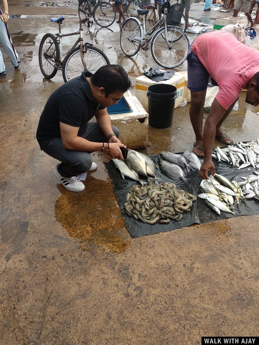 Day 3 - Visited Negombo Fish Market : Sri Lanka (Dec’18) 7