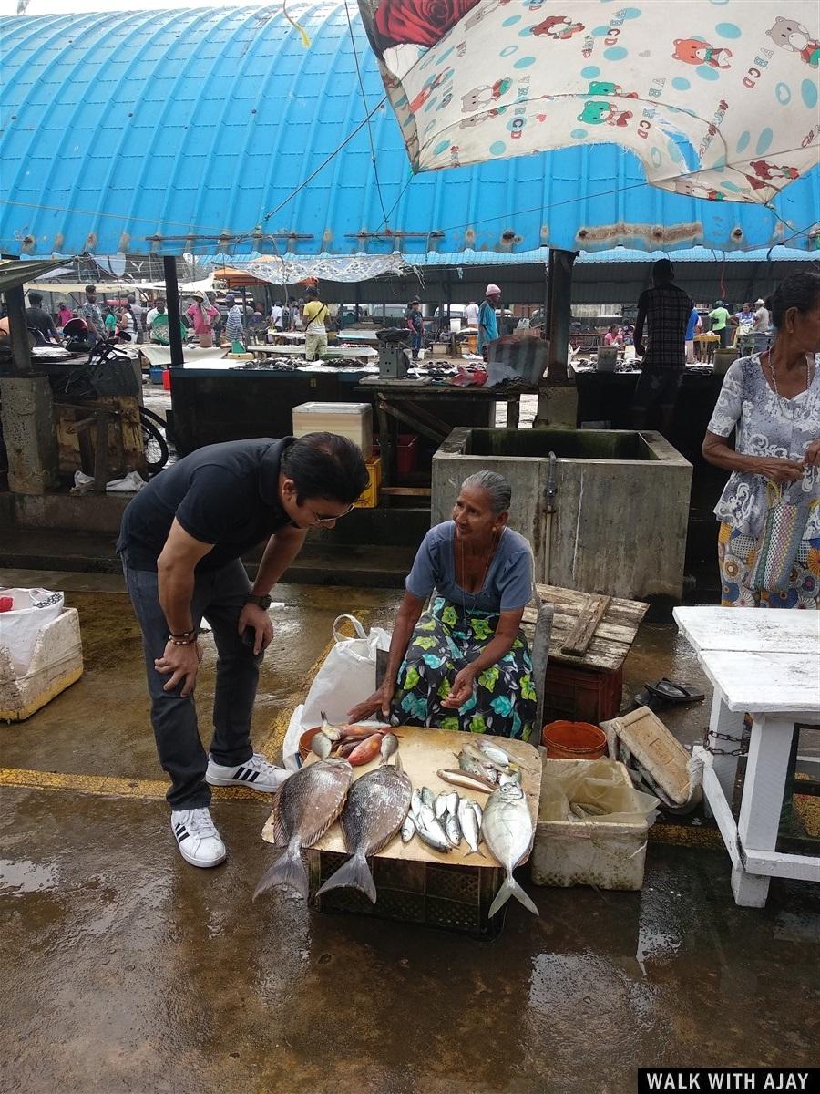 Day 3 - Visited Negombo Fish Market : Sri Lanka (Dec’18) 17