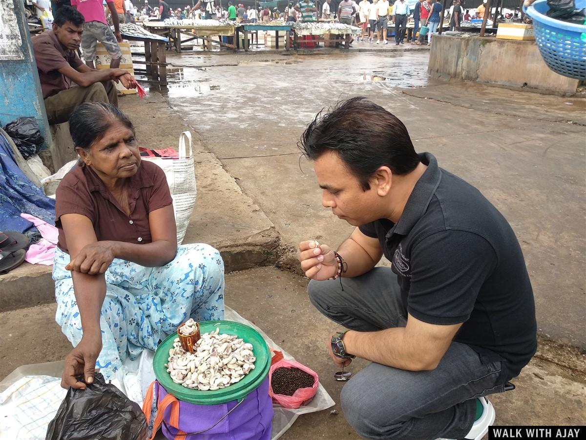 Day 3 - Visited Negombo Fish Market : Sri Lanka (Dec’18) 5