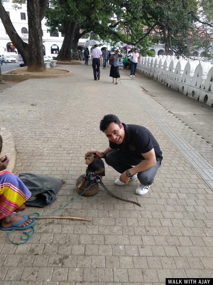 Day 3 - Visited Some Kandy Sightseeing : Sri Lanka (Dec’18) 3