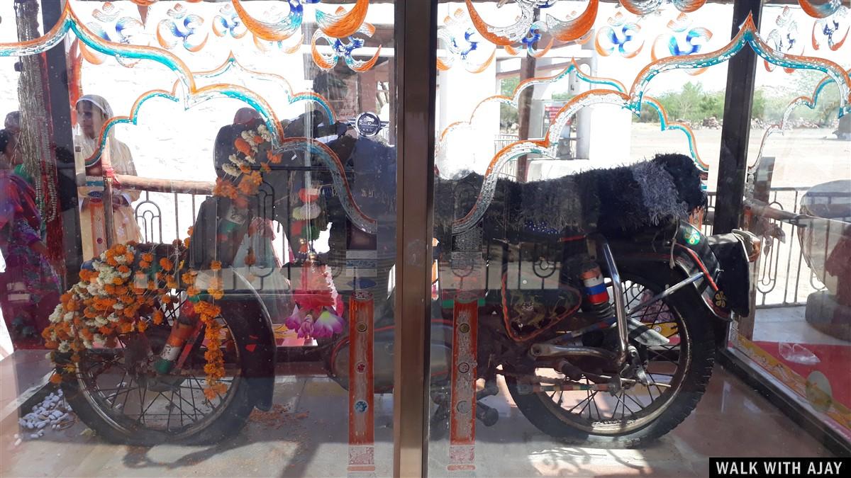 Exploring in Umaid Bhawan Palace, Om Banna : Jodhpur, India (Apr’19) – Day 5 12