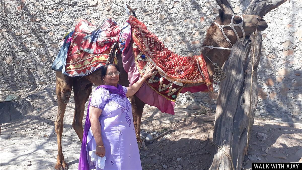 Day 7 - I Love History & Udaipur : India (Apr’19) 84