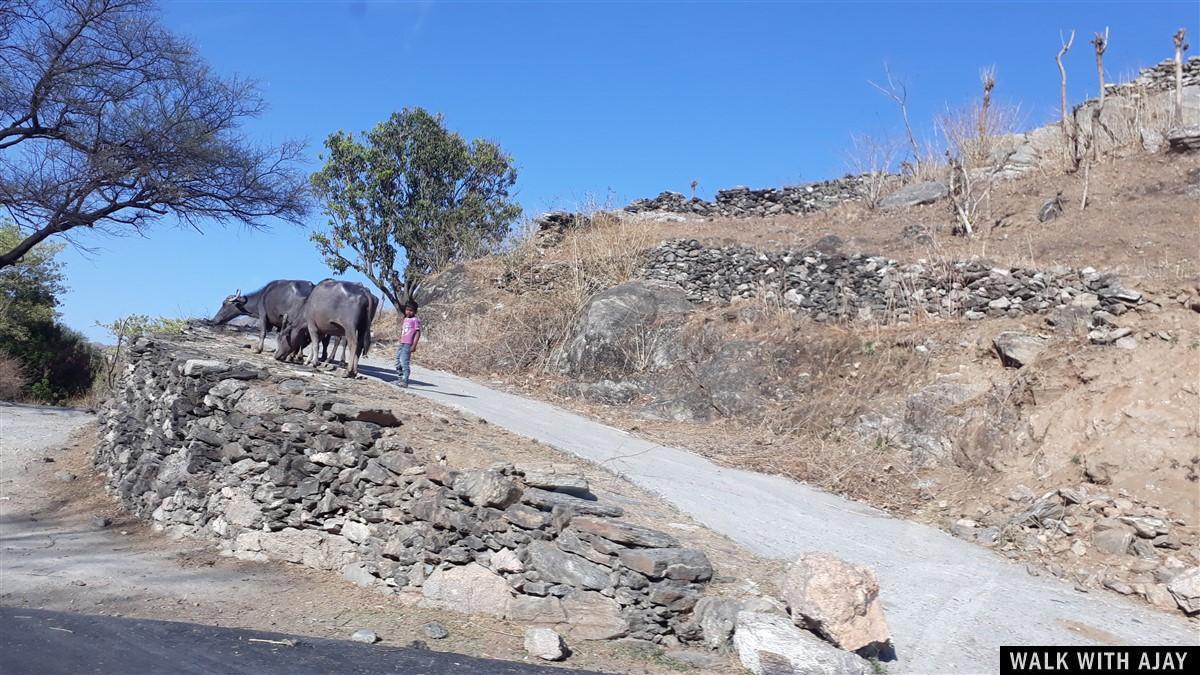 Driving from Mount Abu to Kumbhalgarh Fort and local boy