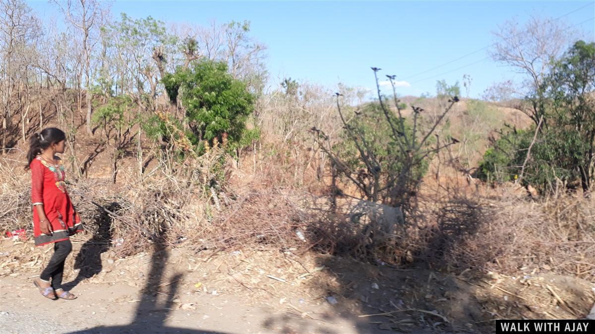 Driving from Mount Abu to Kumbhalgarh Fort and local kid