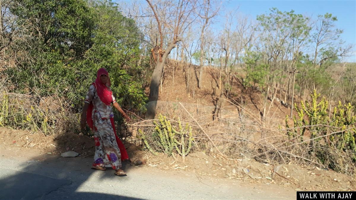 Driving from Mount Abu to Kumbhalgarh Fort 