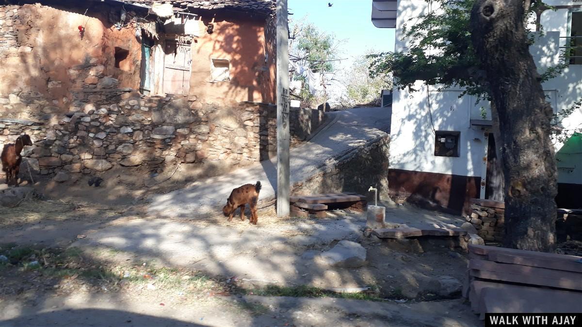 Day 8 - Remembering the History at Kumbhalgarh Fort : India (Apr’19) 52 Driving from Mount Abu to Kumbhalgarh Fort and local street