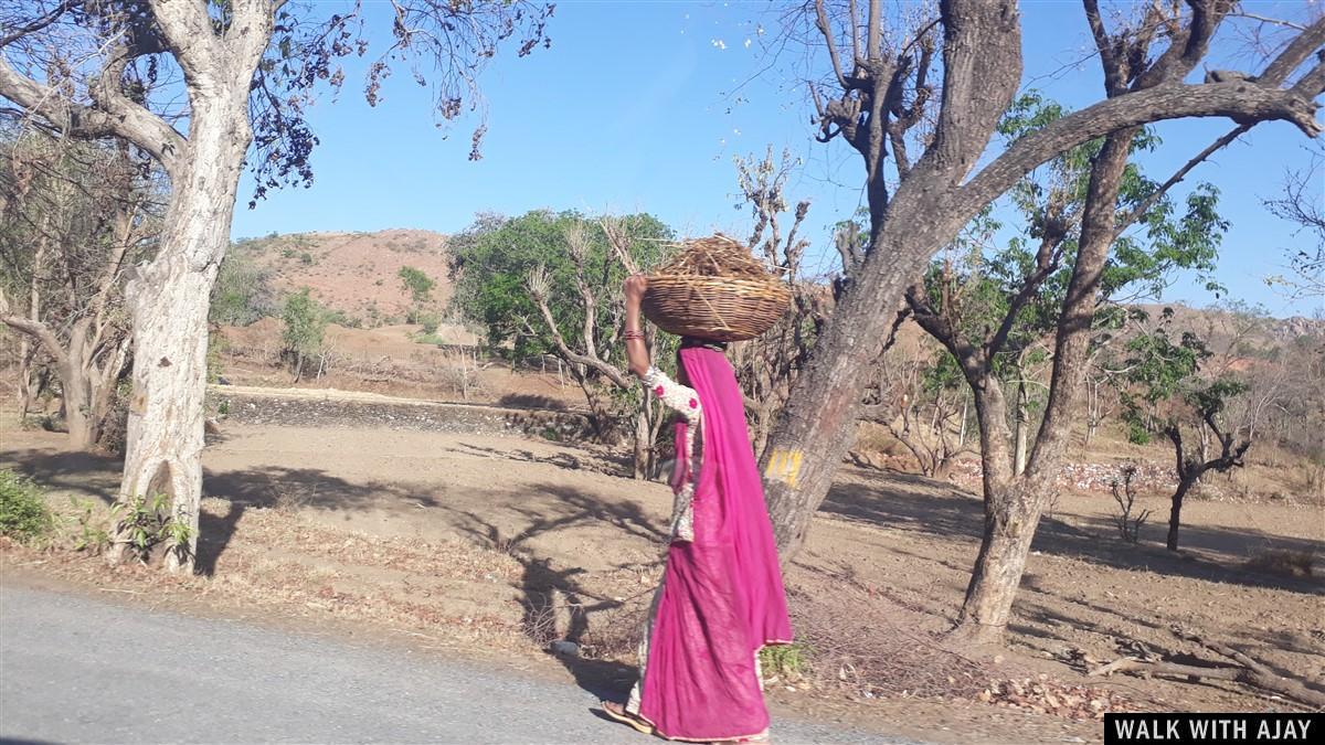 Day 8 - Remembering the History at Kumbhalgarh Fort : India (Apr’19) 55 Driving from Mount Abu to Kumbhalgarh Fort and daily life
