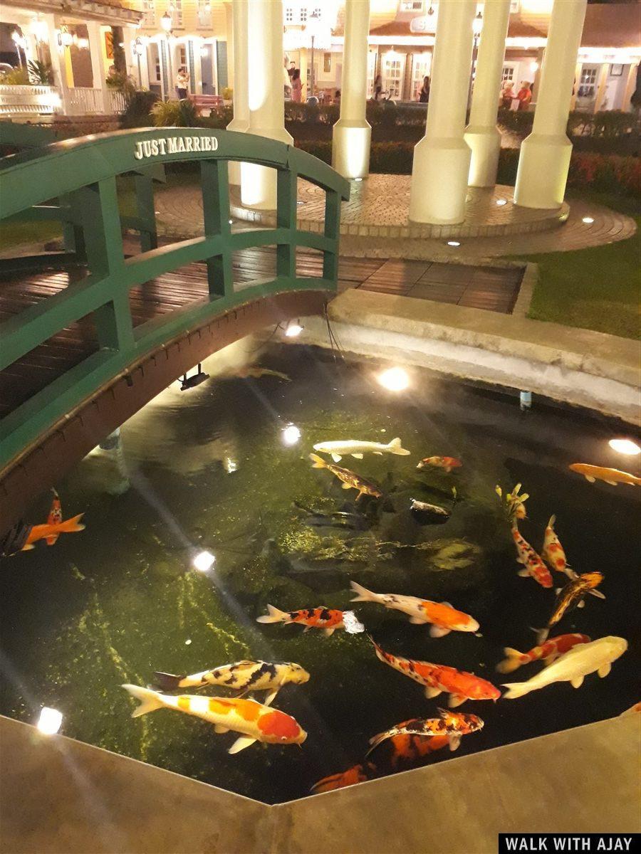 Little pond with colourful fish at Chocolate Ville