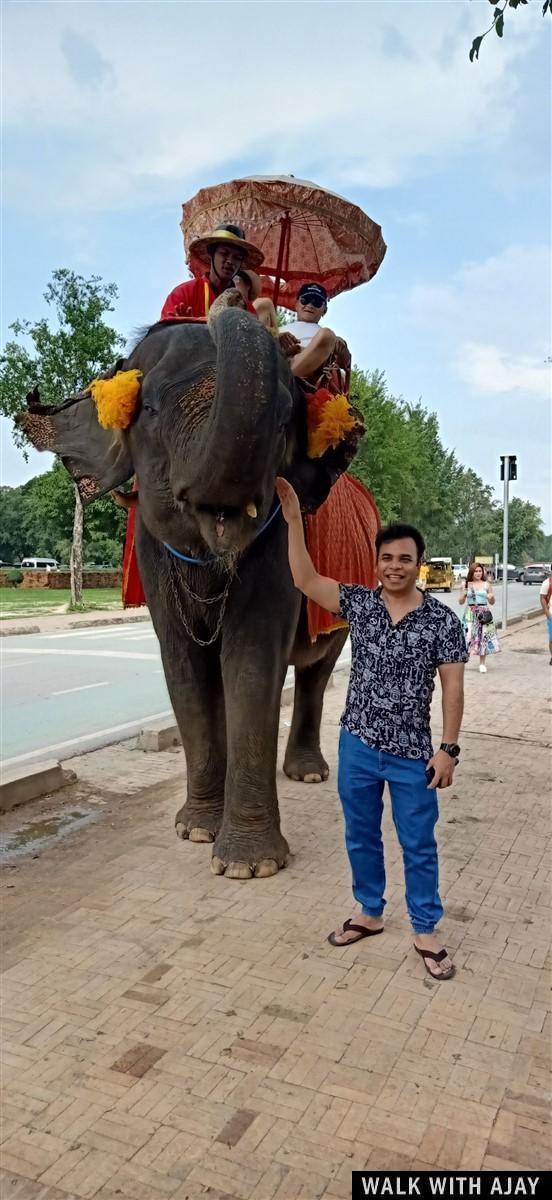 Day 2 - Exploring Ayutthaya Temples in Half Day by Tuk Tuk : Thailand (Oct'19) 39