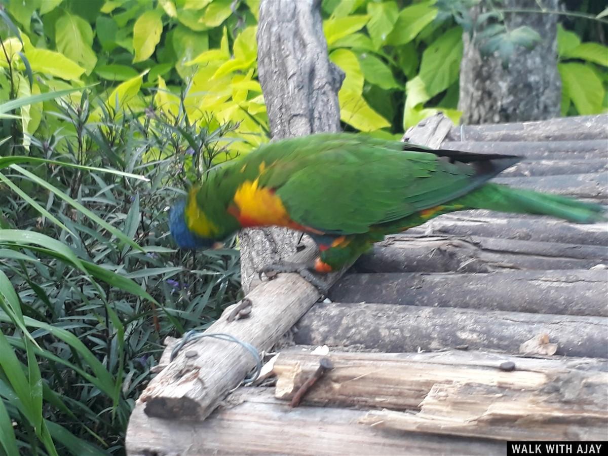 Day 2 - Enjoying Full Day in Vinpearl : Nha Trang, Vietnam (Dec’19) 18