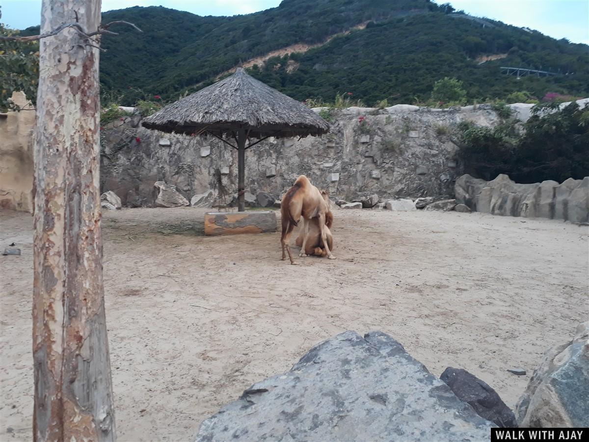 Day 2 - Enjoying Full Day in Vinpearl : Nha Trang, Vietnam (Dec’19) 25