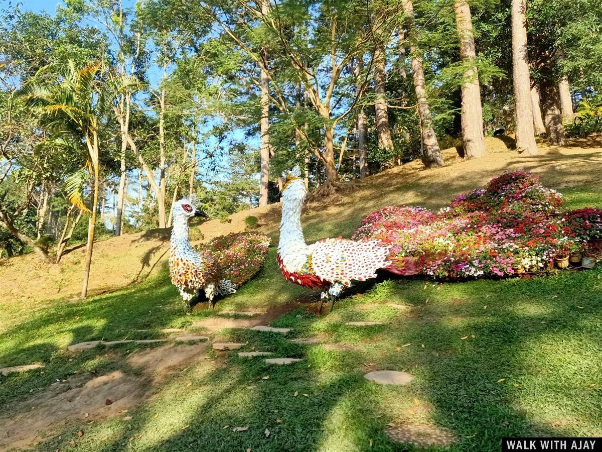 Beautiful flower garden in a peacock shape.