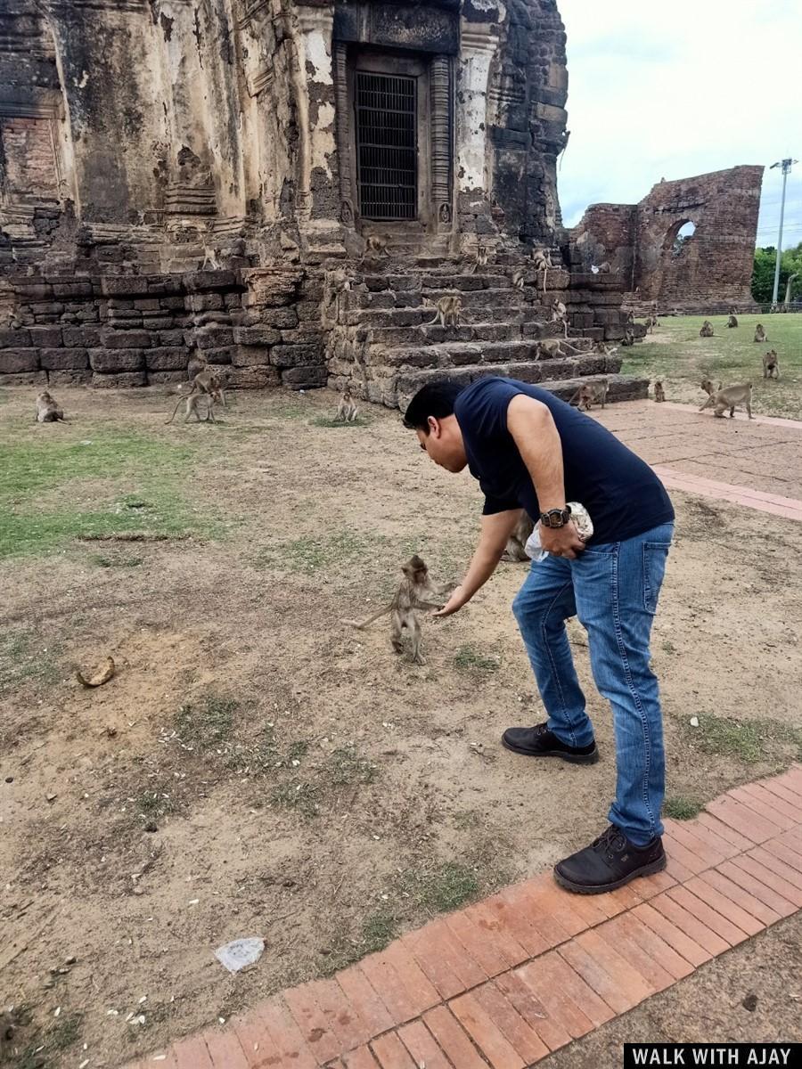 Exploring around Monkey Temple : Lopburi, Thailand (Jul'20) 5