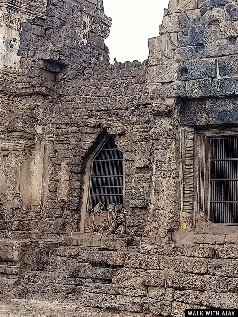 Day 1 - Exploring Around Monkey Temple In Lopburi : Thailand (Jul'20) 8