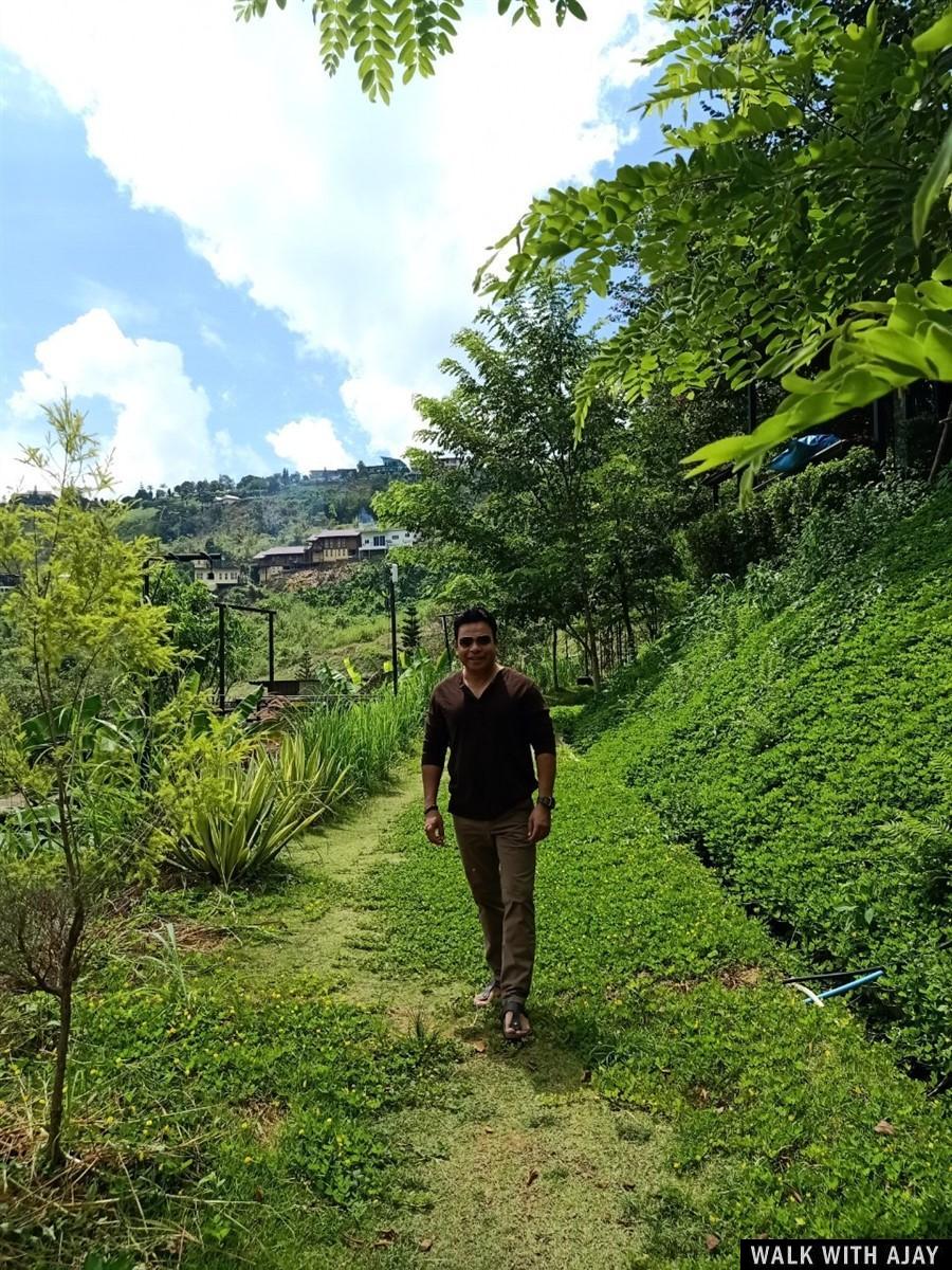 Day 4 - Our Experience At The Terrace View Resort : Khao Kho, Thailand (Jul'20) 8