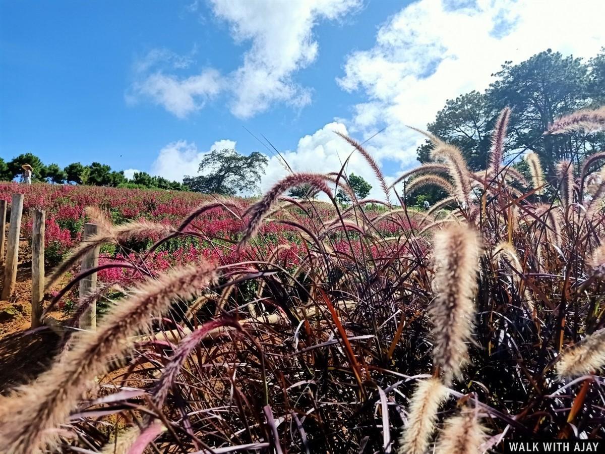 Day 2 - Walking Around Wind Farm : Khao Kho, Thailand (Jul'20) 3