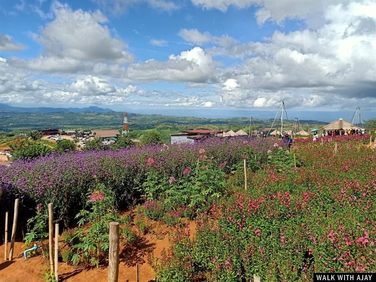 Day 2 - Walking Around Wind Farm : Khao Kho, Thailand (Jul'20) 5