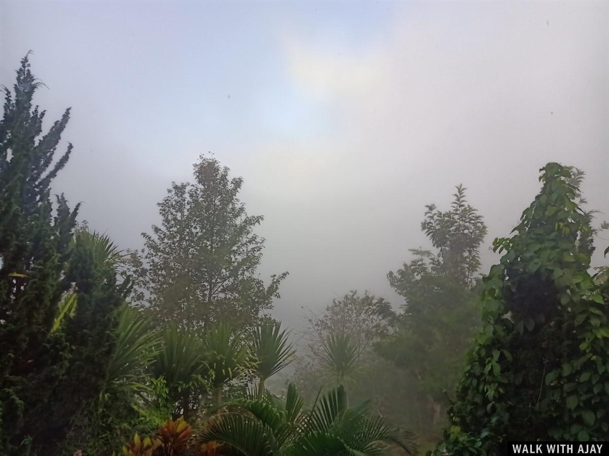 Day 2 - Enjoying Early Morning Sky Fog At Rinnapat Resort : Khao Kho, Thailand (Jul'20) 8