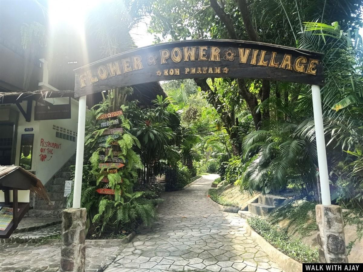 Day 1 - Must Stay At Flower Power Farm Village : Koh Phayam Island, Thailand (Jul'20) 5