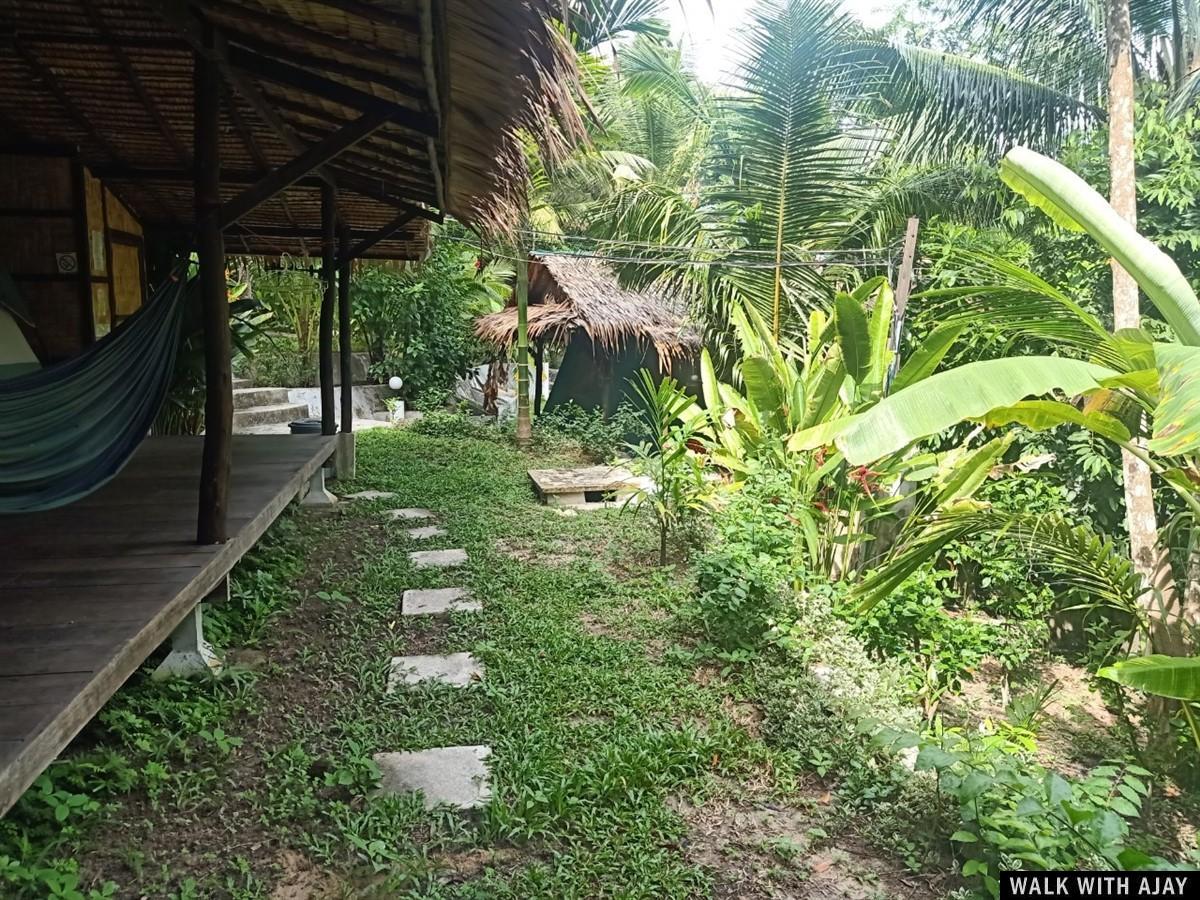 Day 1 - Must Stay At Flower Power Farm Village : Koh Phayam Island, Thailand (Jul'20) 15