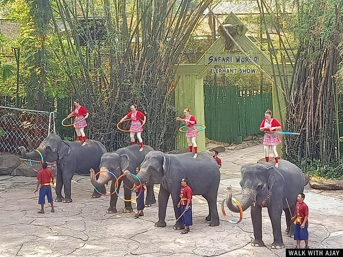 One Day Trip To Safari World : Bangkok, Thailand (Feb’21) 35