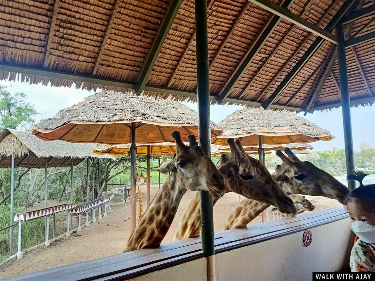 One Day Trip To Safari World : Bangkok, Thailand (Feb’21) 24