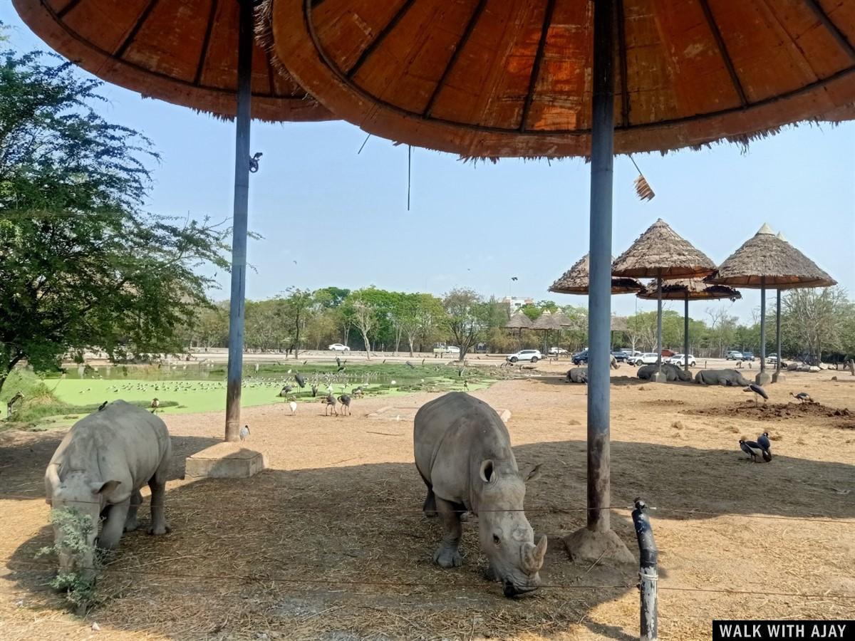 Our Full Day Trip To Safari World After Covid : Bangkok, Thailand (Feb’21) 17
