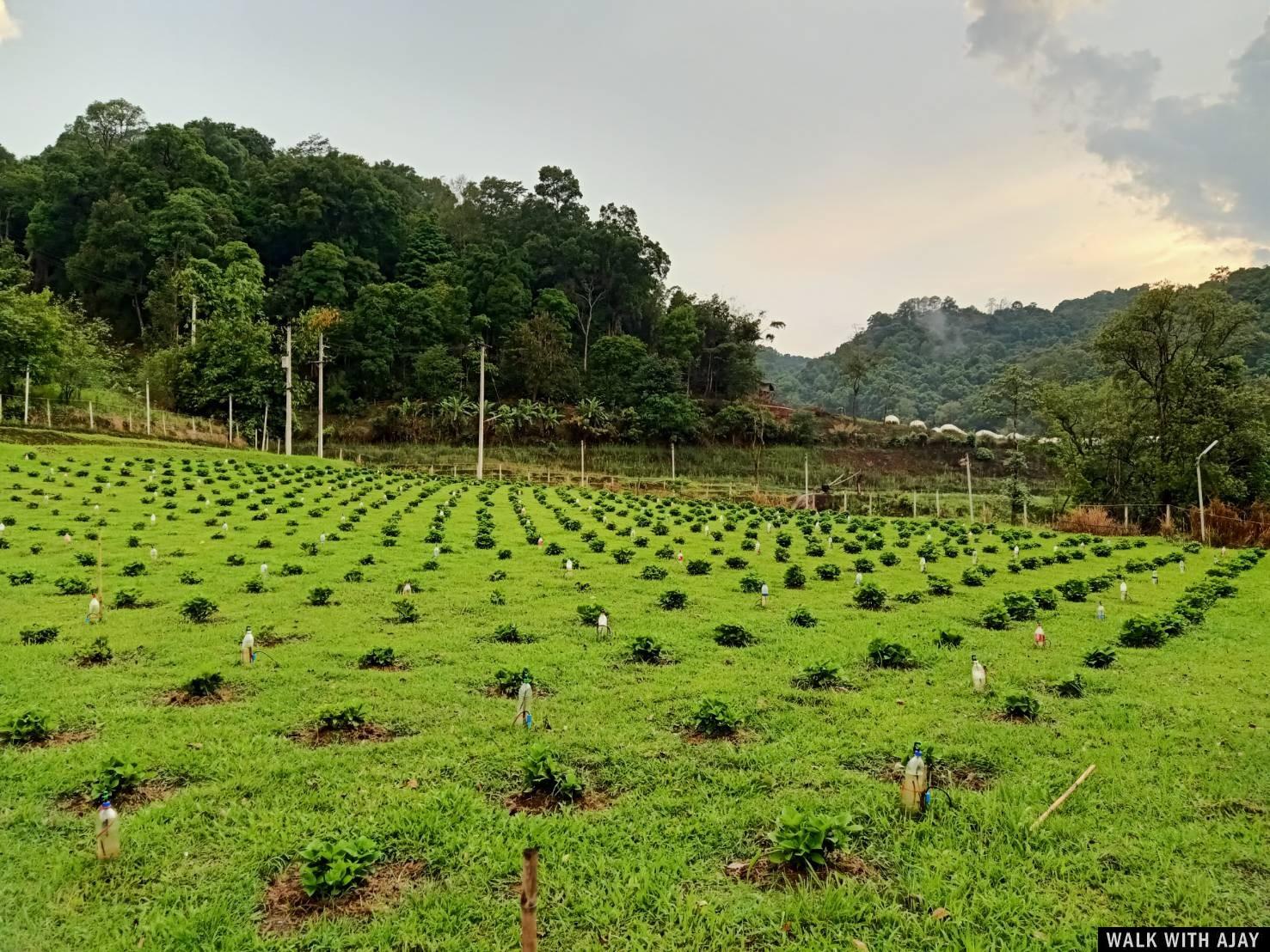 Day 5 - Riding Motorbike From Mae Saring to Mae Klang Luang : Thailand (Apr’21) 28