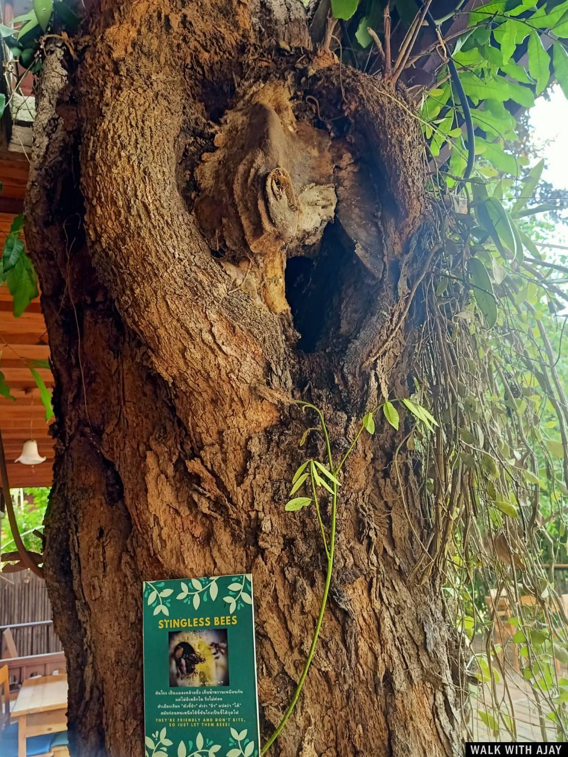 Day 5 - Riding Motorbike From Mae Saring to Mae Klang Luang : Thailand (Apr’21) 5